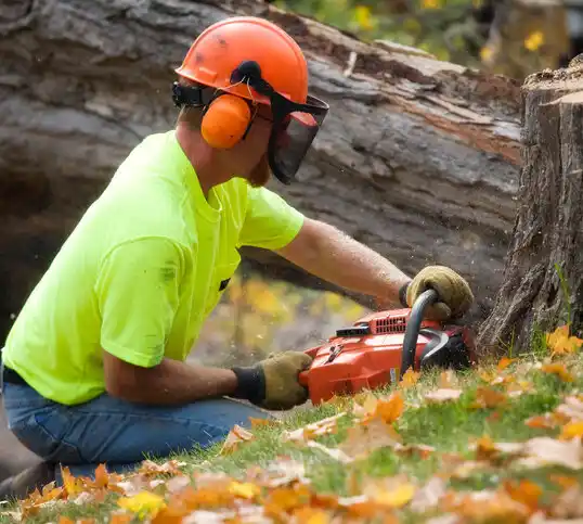 tree services West Lafayette